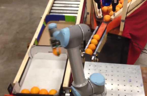 优傲机器人食品包装